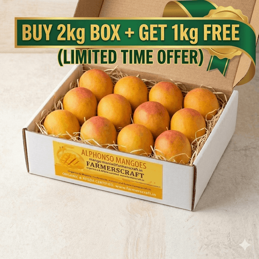 Carbide Free Alphonso Mangoes 3kg (150-170)gm Each