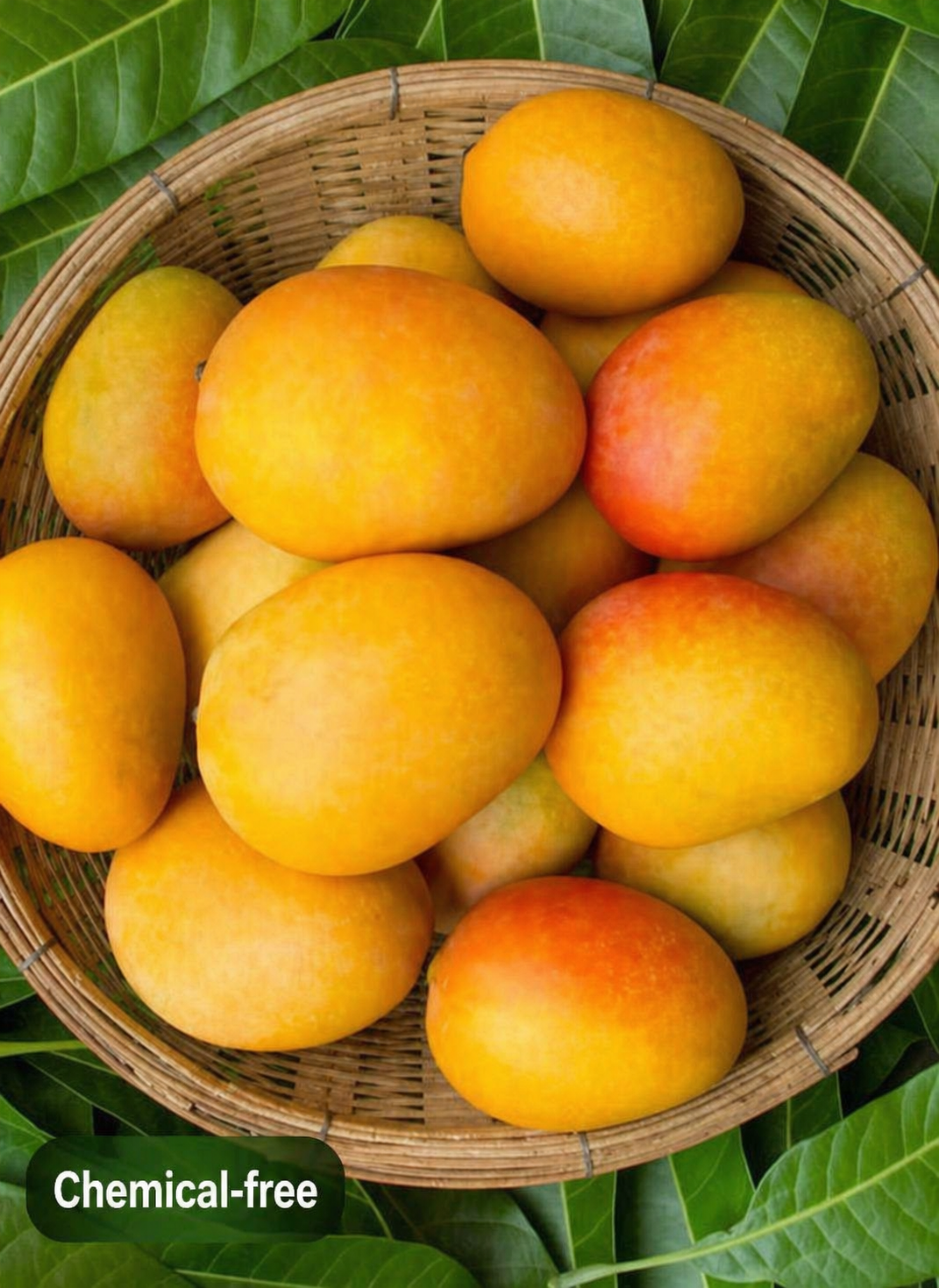 Ratnagiri Alphonso Mangoes (130-150)gm Each, 2kg Box
