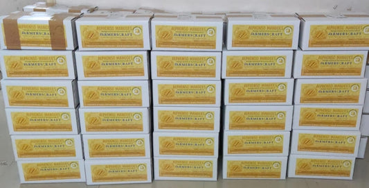 The OG Taste Ratnagiri Alphonso Mangoes, 1 Dozen - Farm to Home (200–225g Each)