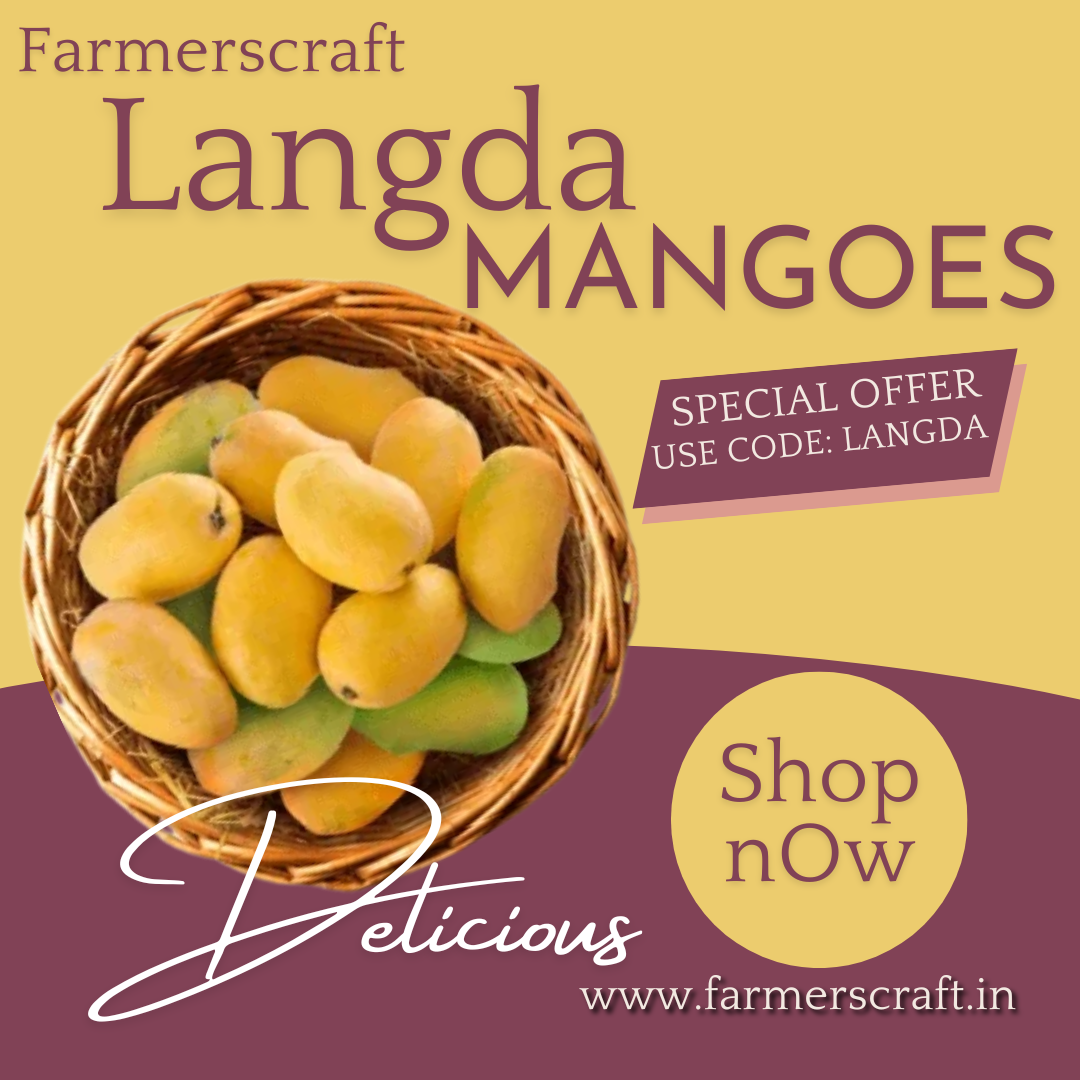 Langda Mangoes 4.5kg (A1) Natural Grown mangoes