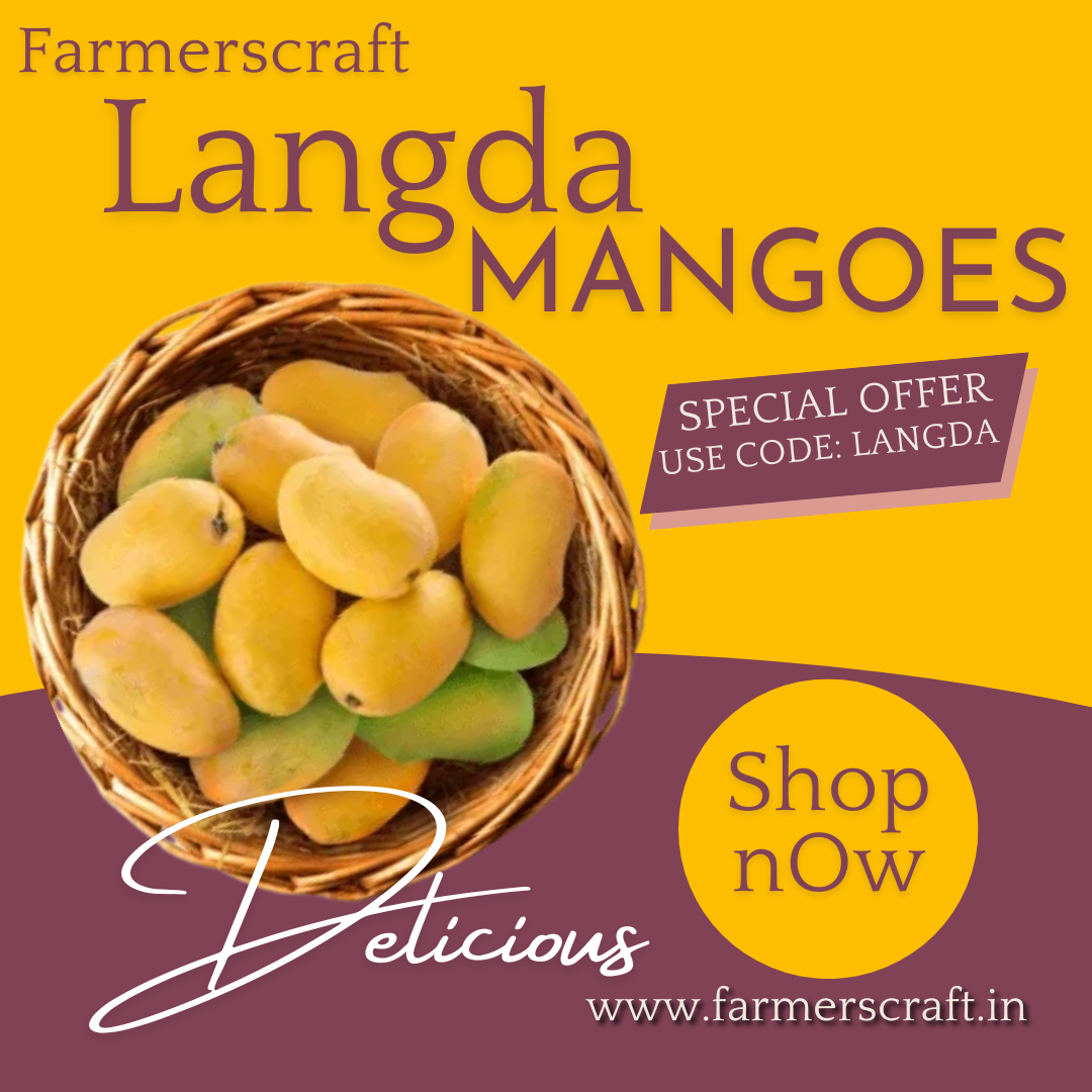 Langda Mangoes 4.5kg (A1) Natural Grown mangoes