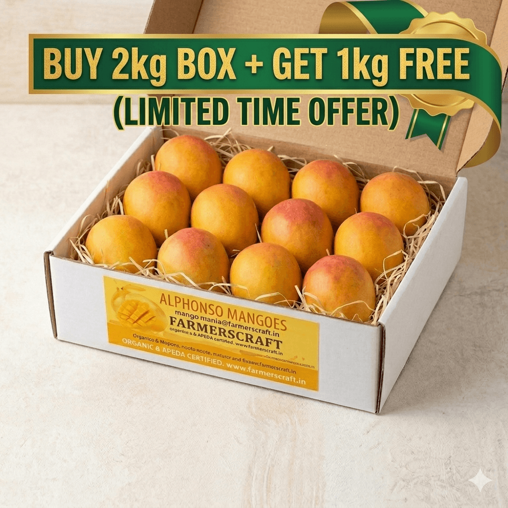 Carbide Free Alphonso Mangoes 3kg (150-170)gm Each