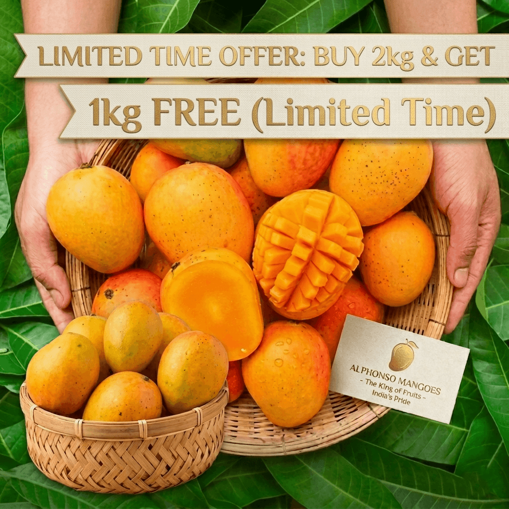 Carbide Free Alphonso Mangoes 3kg (150-170)gm Each