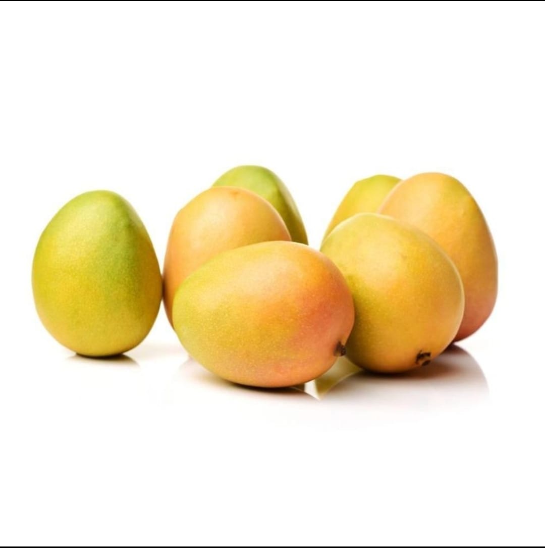 Ratnagiri Alphonso Mangoes (A Size) 12pcs (225-250gm) Each