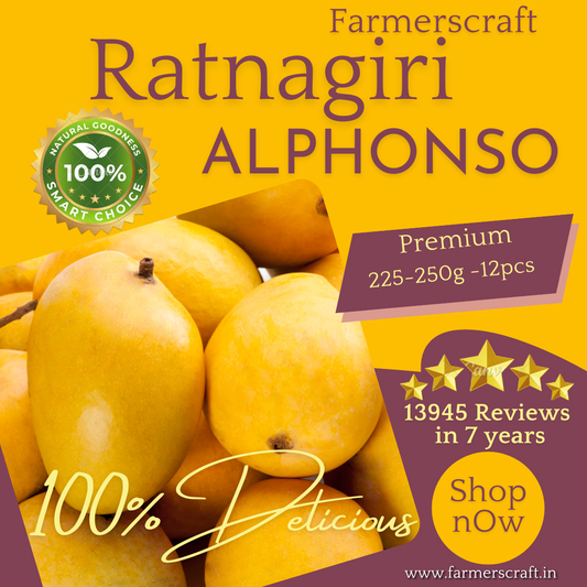 Ratnagiri Alphonso Mangoes (A Size) 12pcs (225-250gm) Each