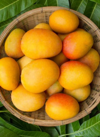 Ratnagiri Alphonso Mangoes (170-200)gm Each - 2.3kg