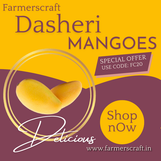 Dasheri Mangoes 4.5kg (A1) Natural grown mangoes