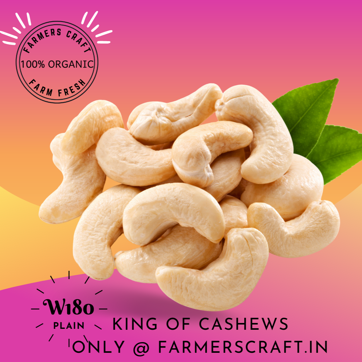 Premium Cashew Nuts W180 (King of Cashew) Organic Kaju - Export Quality-1Kg